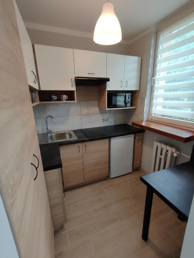 Apartament Cichy Kacik Zator Tylko 1Km Od Energylandii Eksteriør bilde